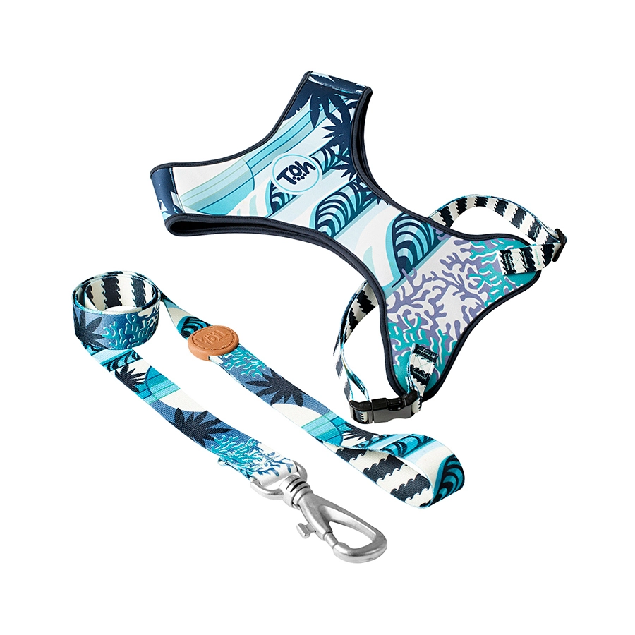Conjunto Peitoral Neoprene E Guia G Noronha Toh Un