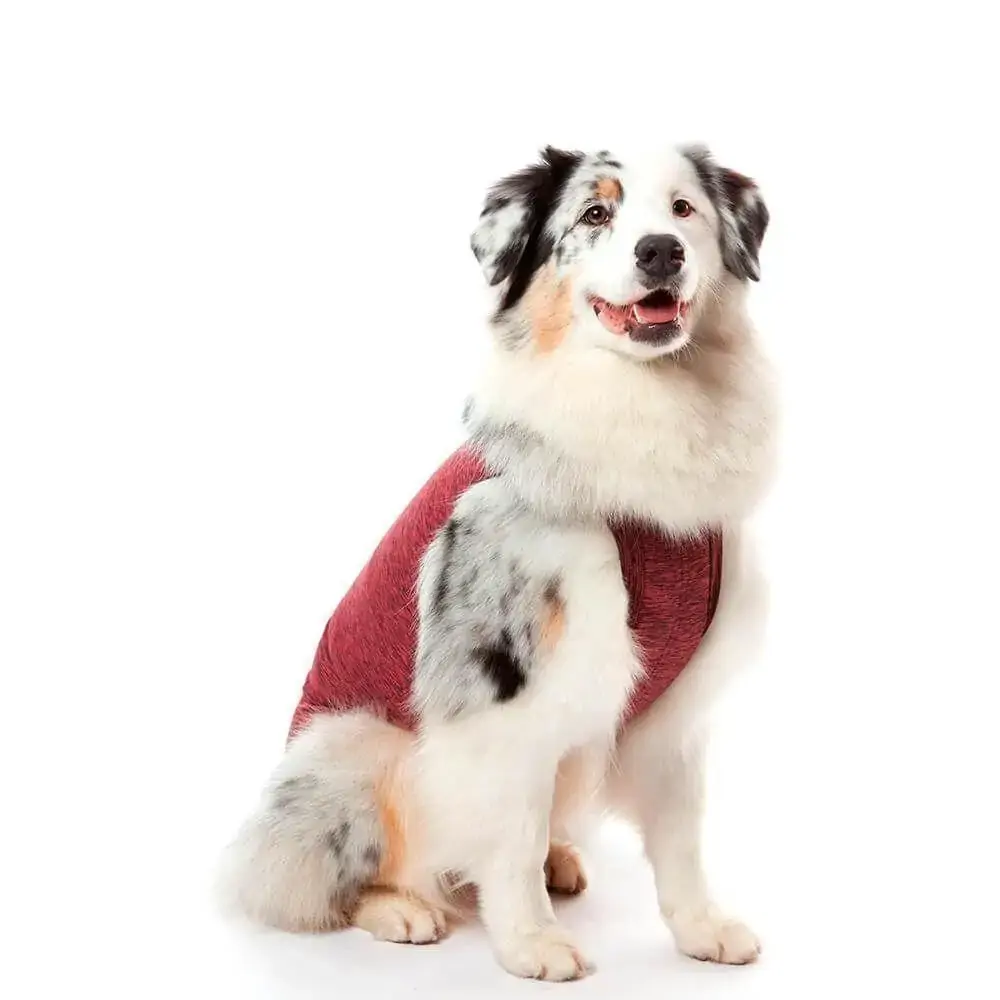Roupa Pós Castração Pet Med Regular Dry Confort Rosa Mescla Tamanho 0