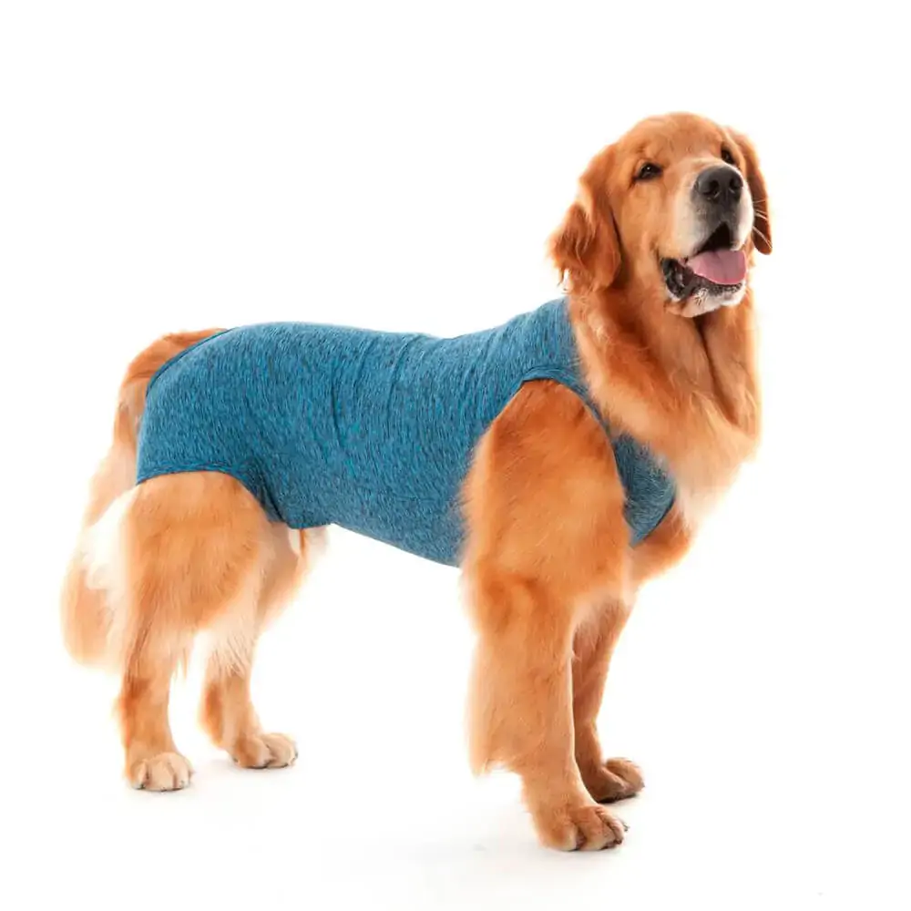 Roupa Pós Castração Pet Med Para Cães Machos Duo Dry Azul Tamanho 14
