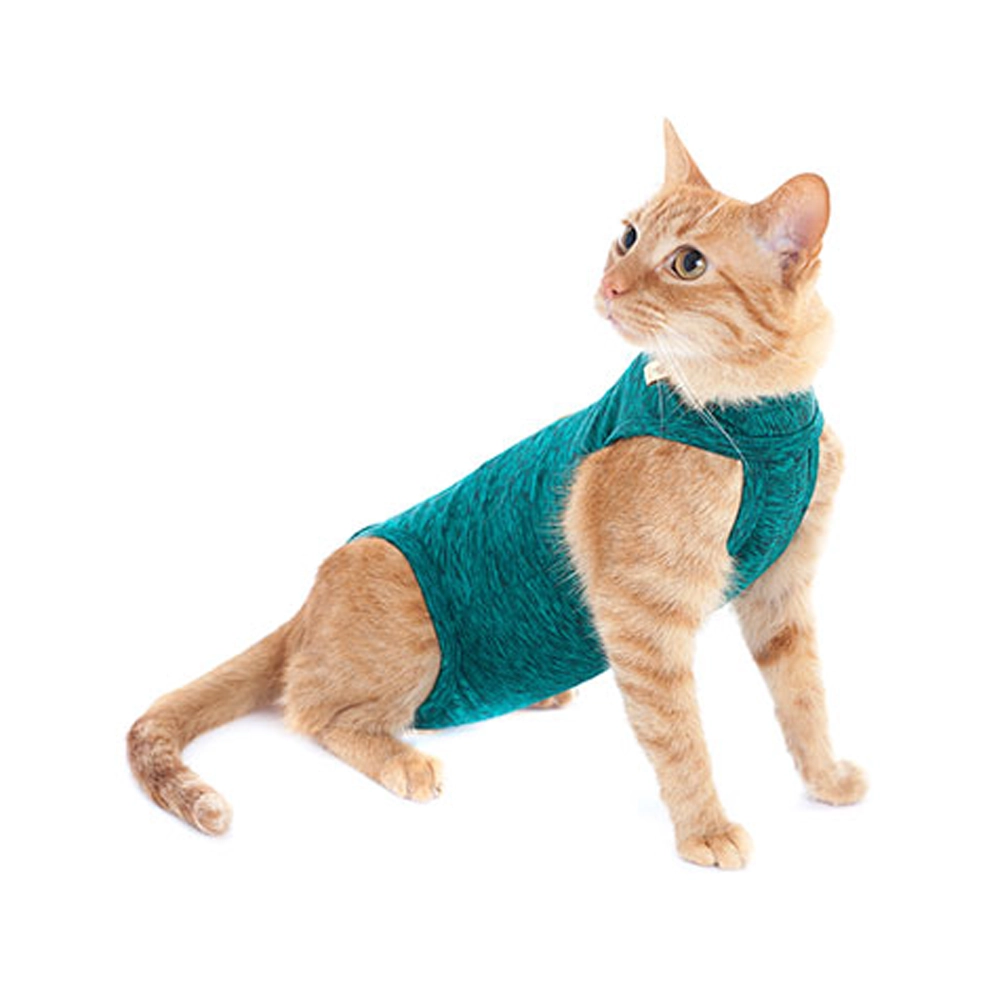 Rpc Gato Duo Dry 02 Verde Pet Med
