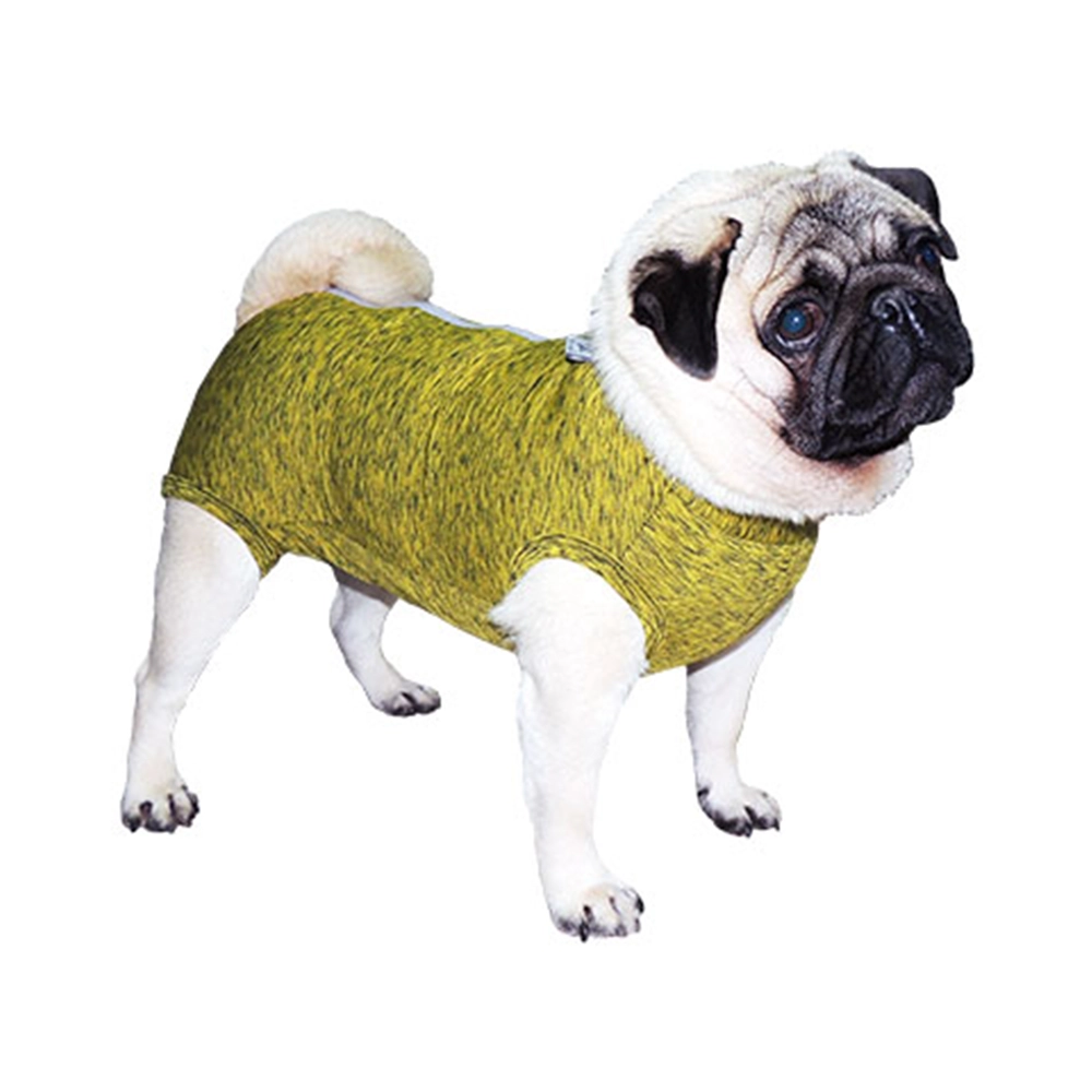 Roupa Pós Castração Pet Med Fit Dry Pug Color Tamanho M