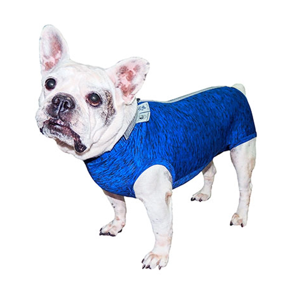 Roupa Pós Castração Pet Med Fit Dry Para Buldogue Francês Macho Color Tamanho G