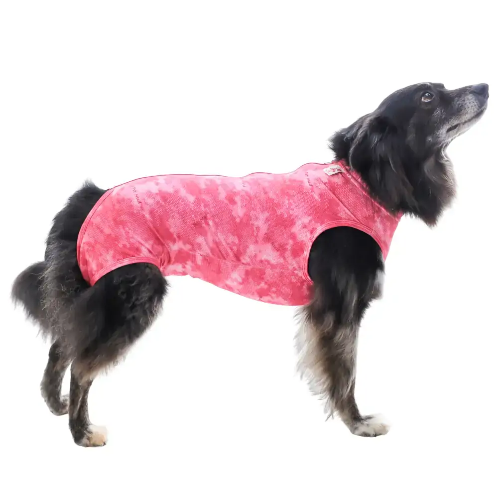 Roupa Regular Dry Light Supreme Cão Rosa | 9