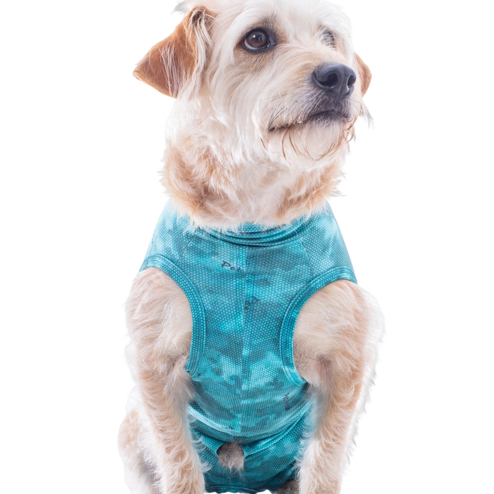 Roupa Regular Dry Light Supreme Cão Verde | 1