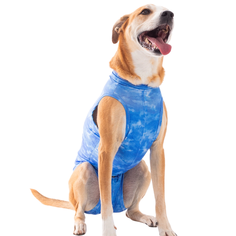 Roupa Castração Dry Light Supreme Cão Azul | 00