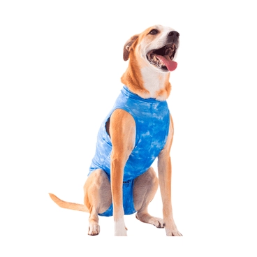 Roupa Castração Dry Light Supreme Cão Azul | 10