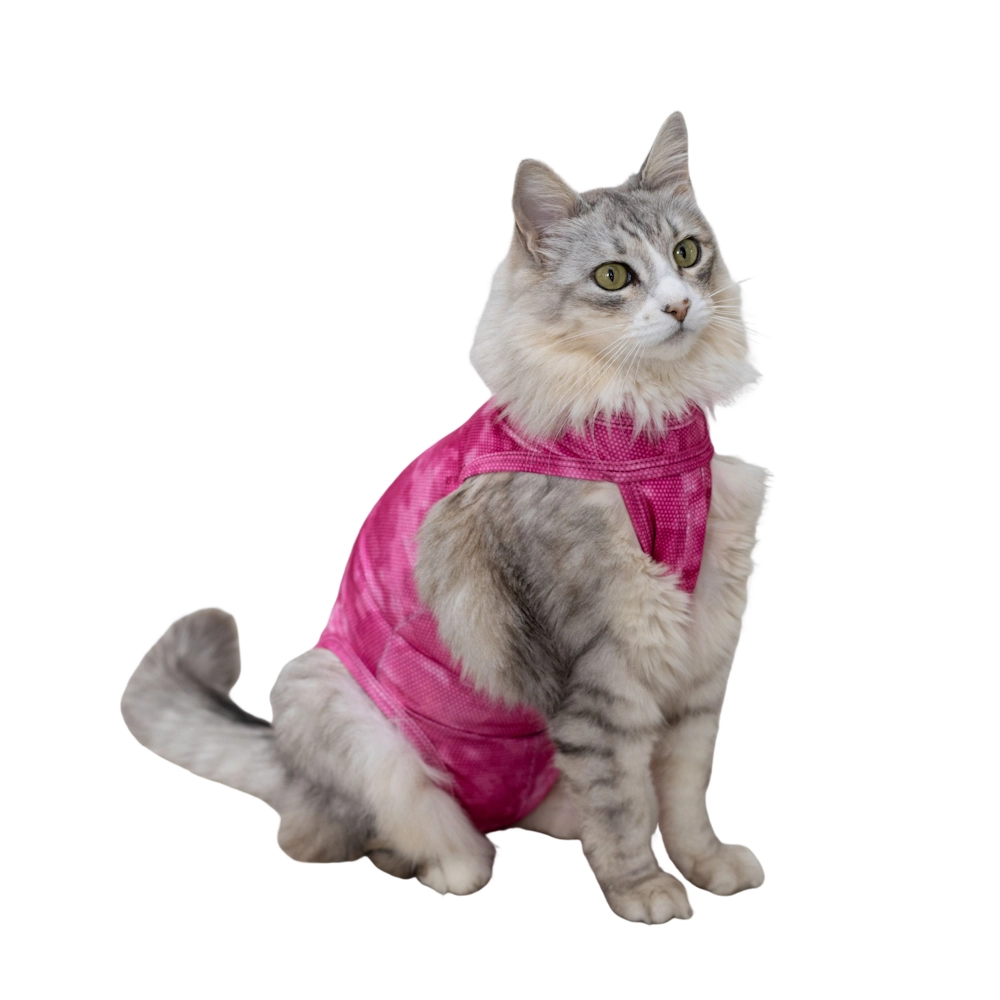 Roupa Regular Dry Light Supreme Gato Rosa | 4