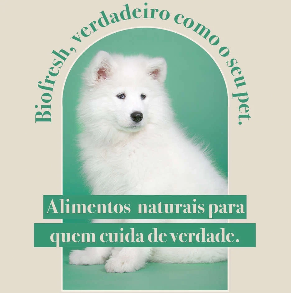 Ração Seca Biofresh Frango Cães Adultos Raças Grandes E Gigantes 3 Kg
