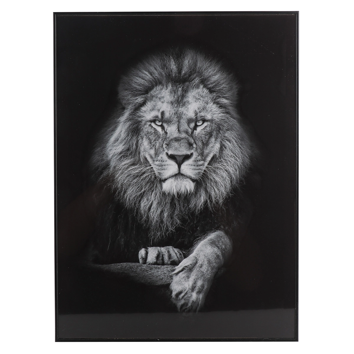 Quadro Acetato Mdf 29x39x1.8cm Dqu357 Madalozzo