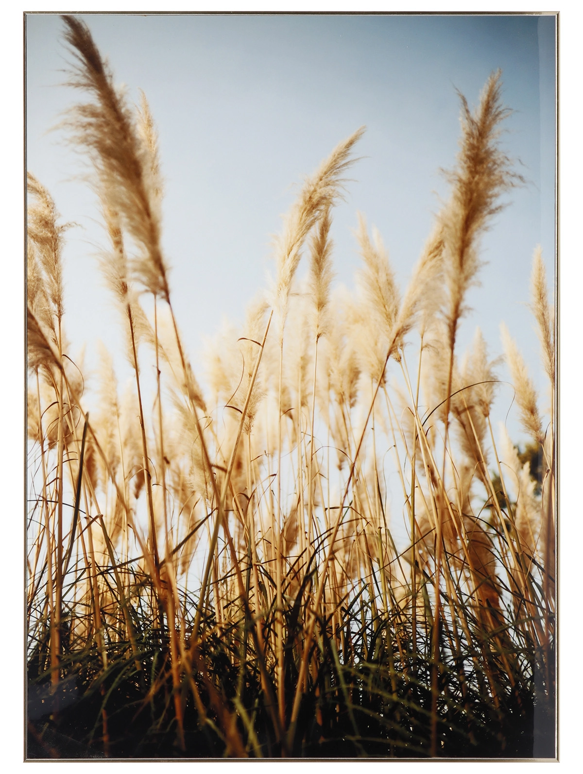 Quadro Dec Acetato/plast/mdf 50x70x2,6cm Ref:18227