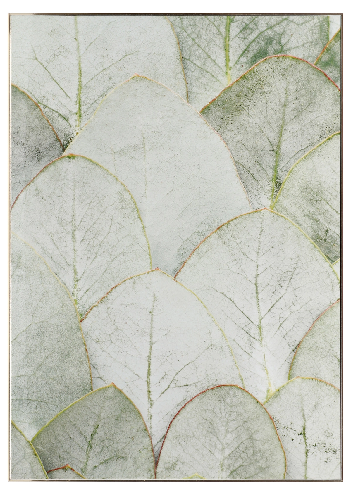 Quadro 50x70x2.6cm Dqu410 Madalozzo