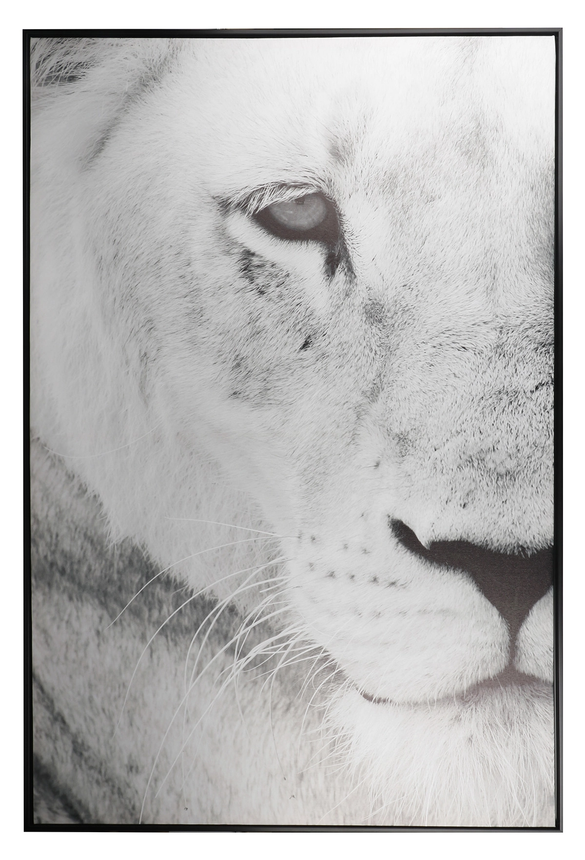 Quadro 80x120x3.5cm Dqu437 Madalozzo