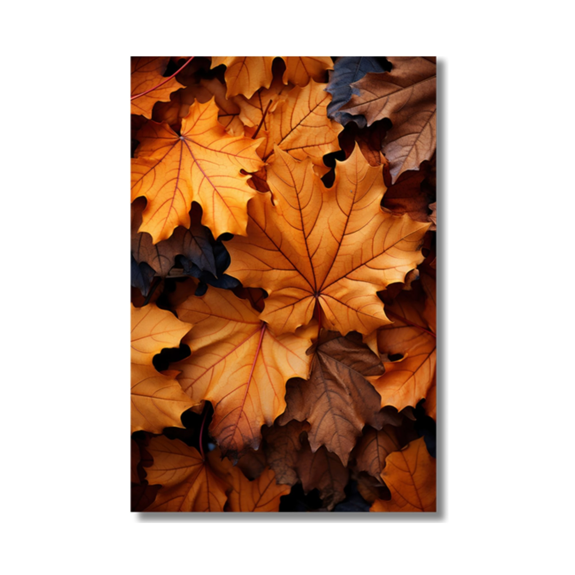 Quadro Canvas Paisagem Outono 40x50cm Tl4505 Brisa