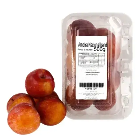 AMEIXA GARDEN FRUIT 500G