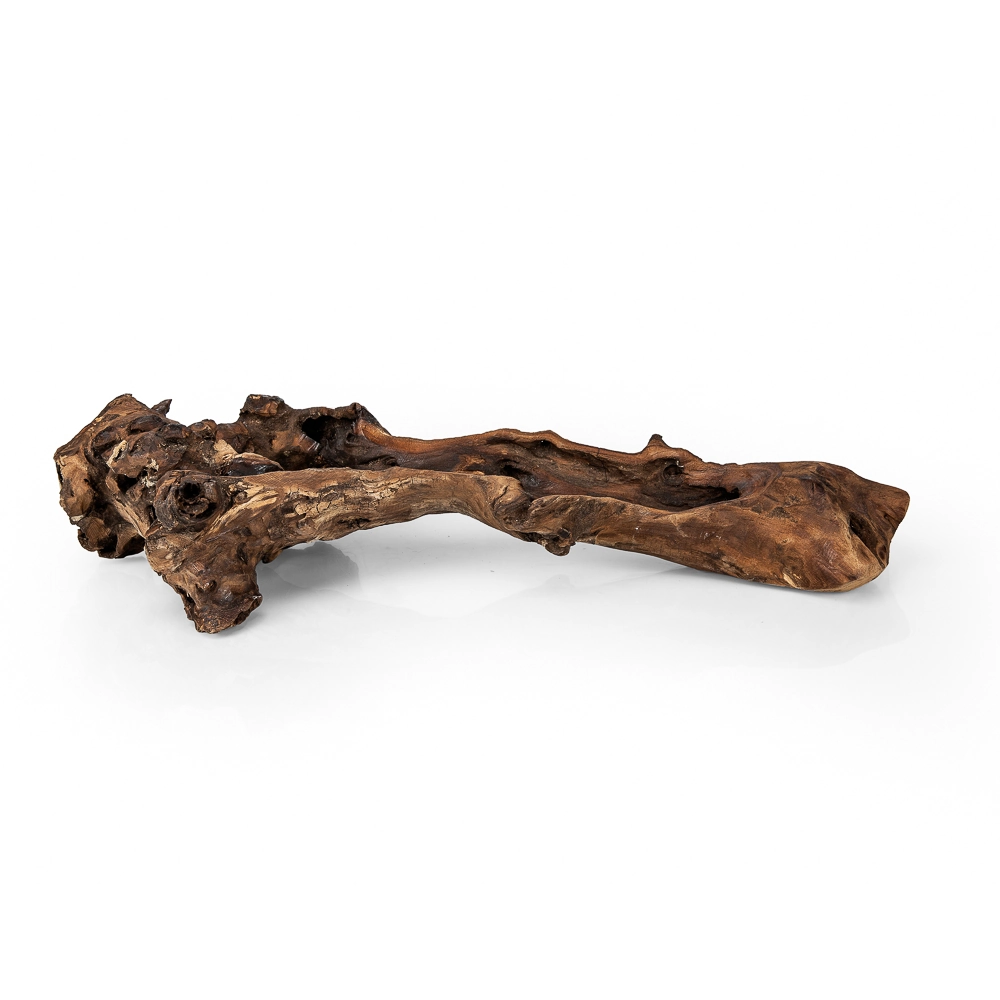 Galho Concavo Madeira Nature 605503277 Floral