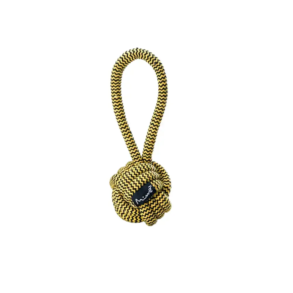 Brinquedo Mimo Corda Com Argola P