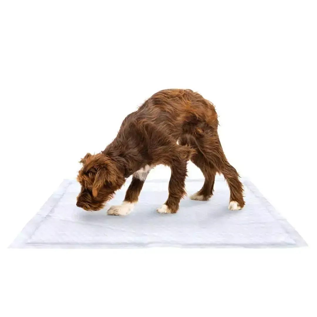 Tapete Higiênico Pets Ultra Absorvente Mimo Pads G 60x90 CM