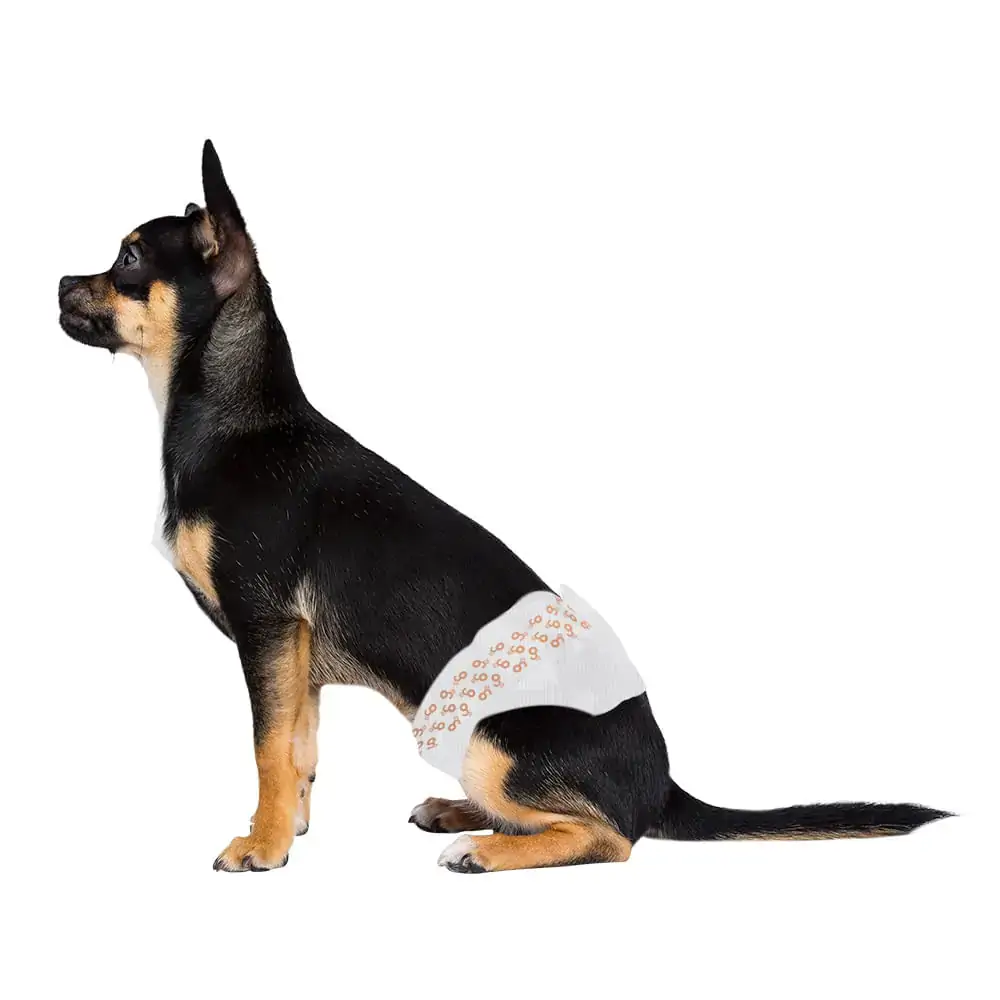 Fralda Hig Mimo Diaper Macho P 12pcs P