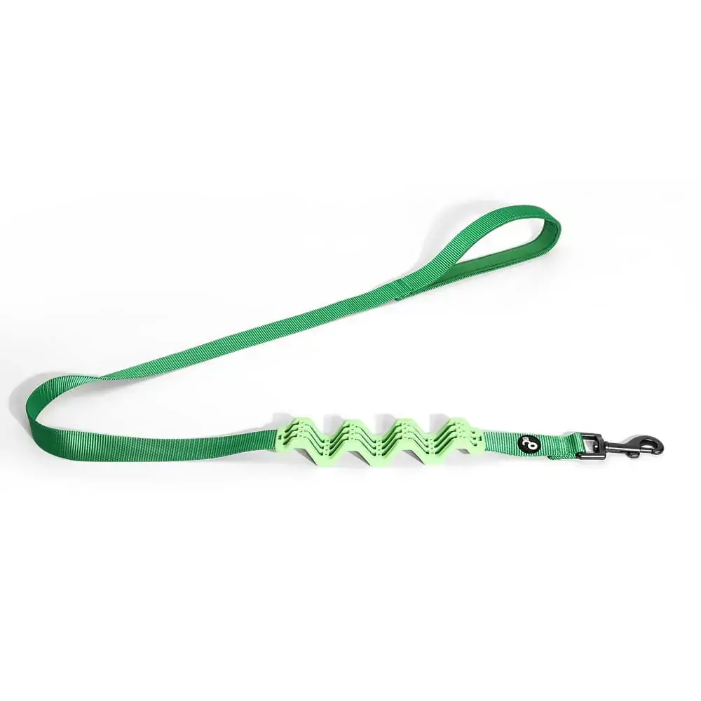 Guia Amortecedor Verde 2,5x120