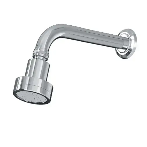 Chuveiro Articulado De Parede Cromado Fani Rubi 3000 C51