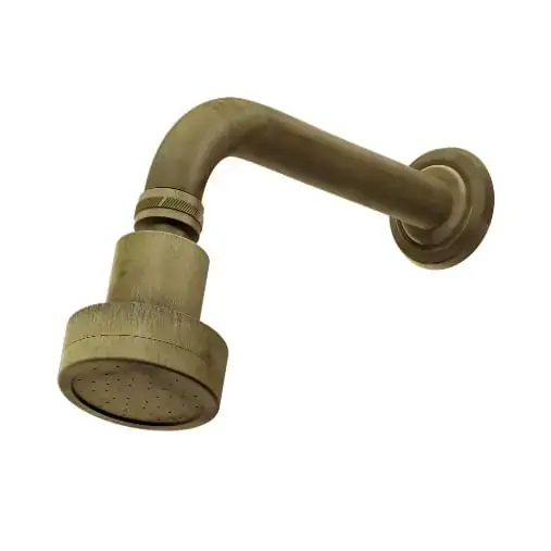 Chuveiro Articulado De Parede Bruto Fani Rubi 3000 B51