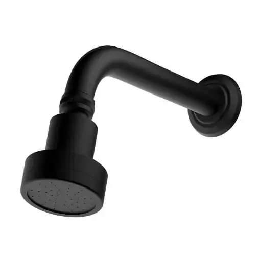 Chuveiro Articulado De Parede Preto Fosco Fani Rubi 3000 Bk51