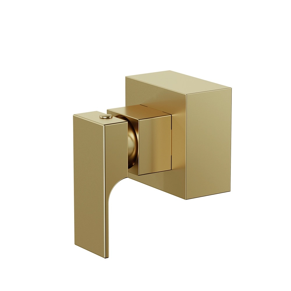 Acabamento Registro Grande 1 1/2 Retta Gold Fani