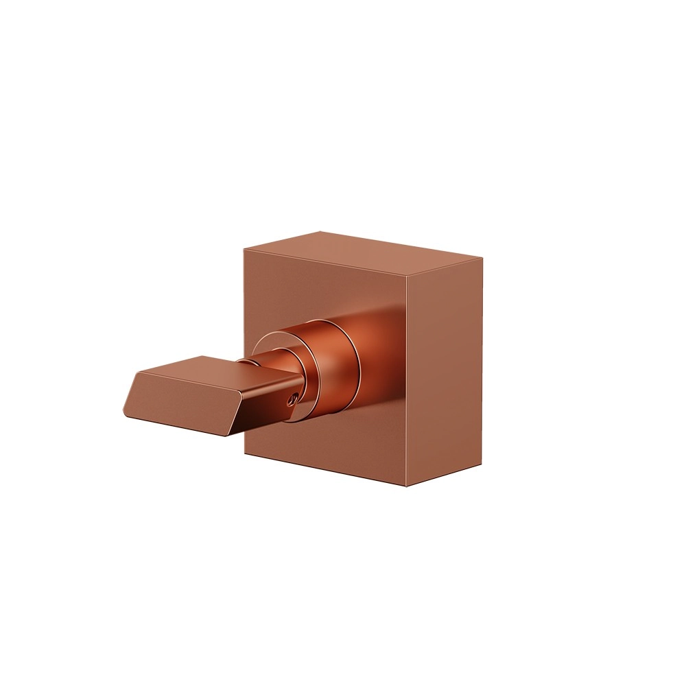 Acabamento Registro Grande 1 1/2 Essence Rose Gold Fani