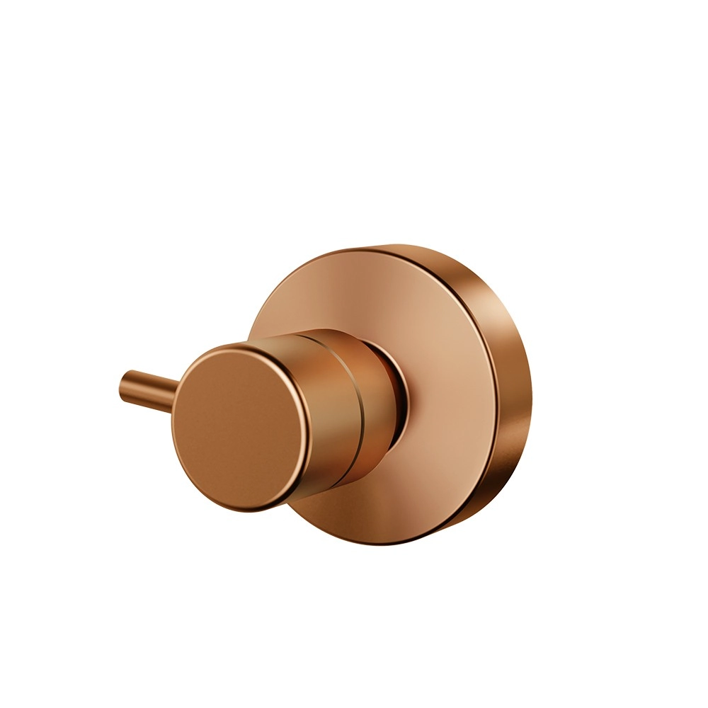 Acabamento Registro Grande 1 1/2 Eva Rose Gold Fani