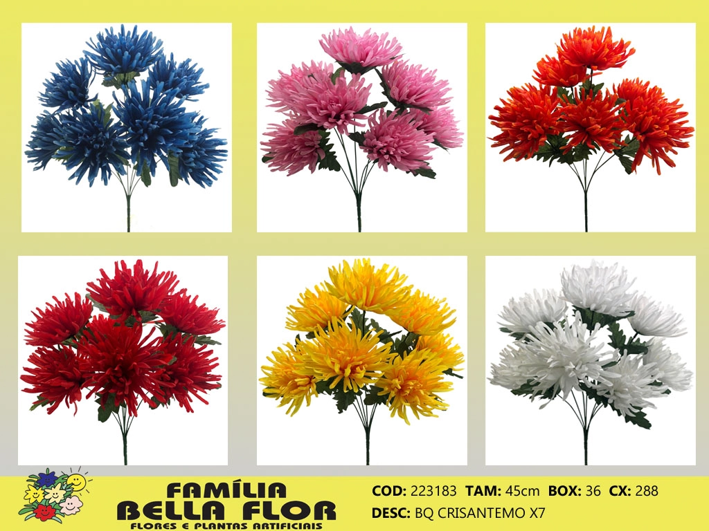 Buque Crisantemo X 7 223183 Bella Flor