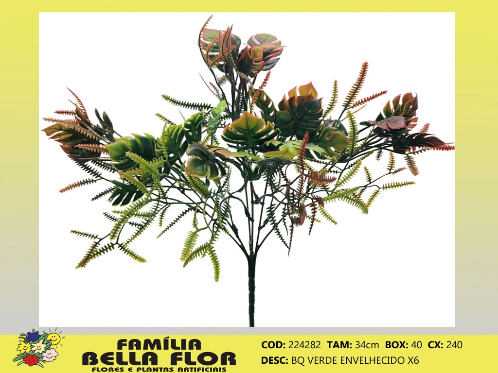 Buque Verde X6 224282 Bella Flor
