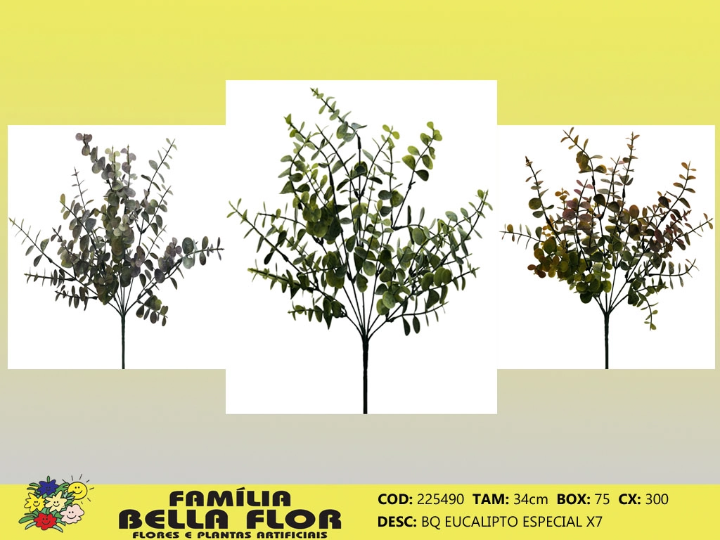 Buque Eucalipto Especial X7 225490 Bella Flor
