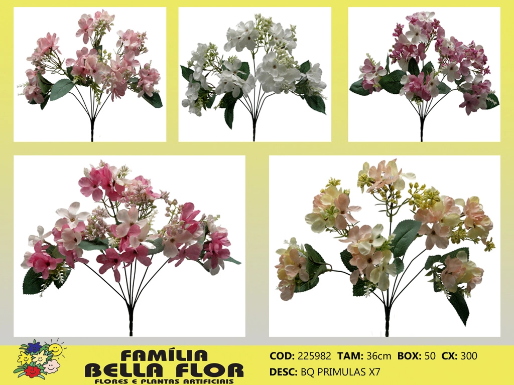 Buque Primulas X7 225982 Bella Flor