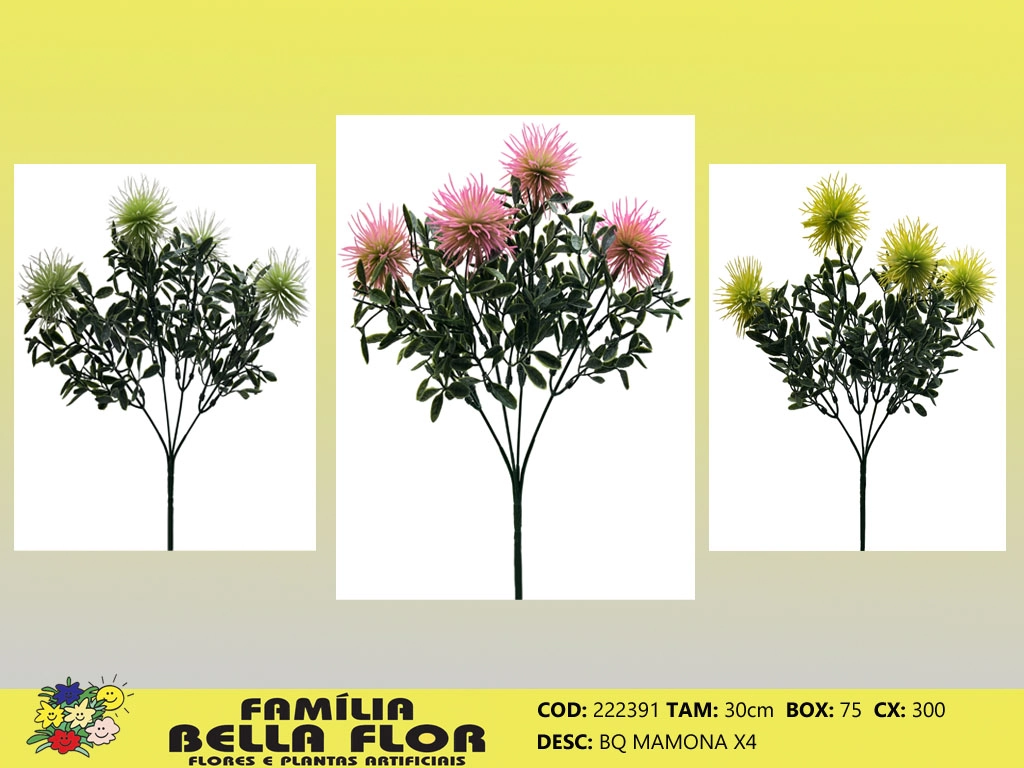 Buque Mamona X4 222391 Bella Flor