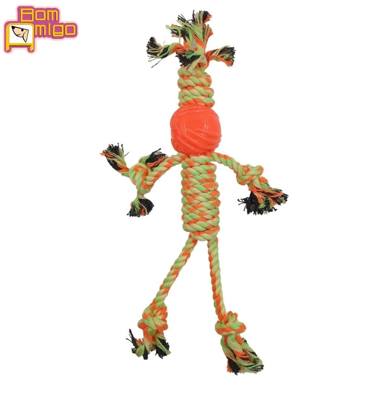 Dog Corda People Spring
