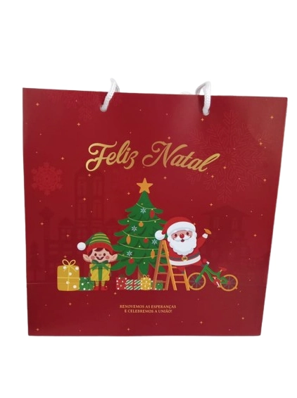 Sacola Noite Feliz M 21x30cm C/alca Ursinho Festas