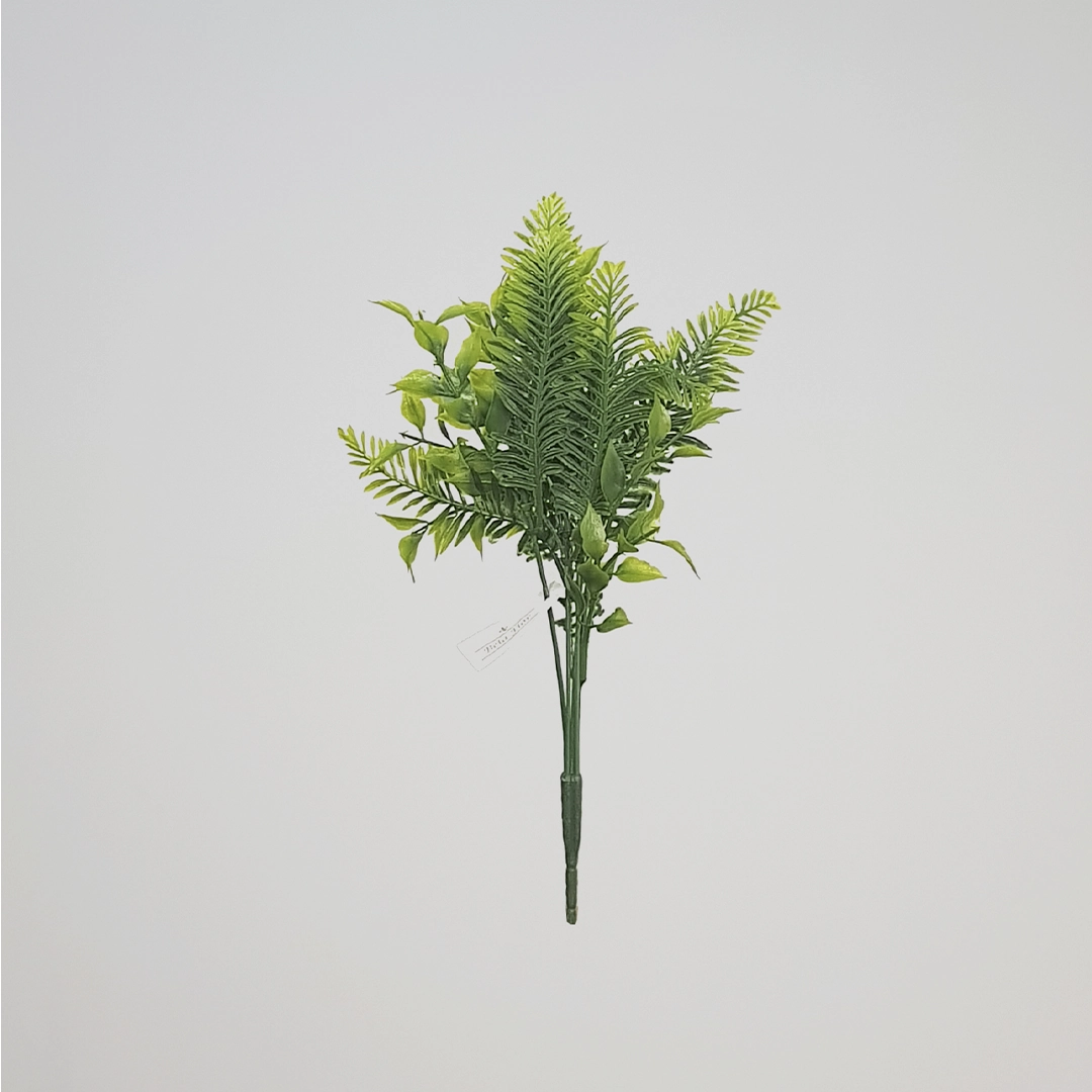Buque Samambaia X5 30cm 918 Bela Flor