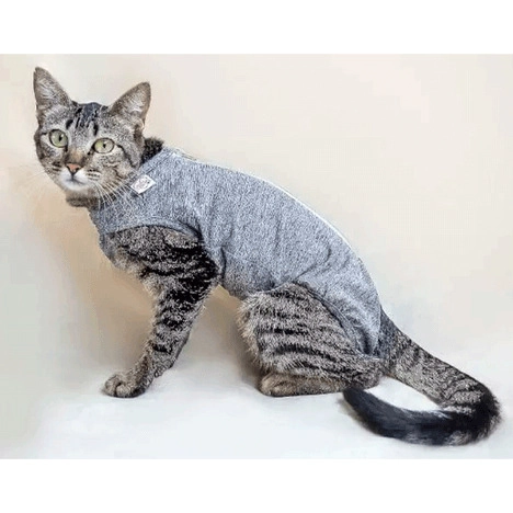 Roupa Pos Cirurgica Gato Castracao