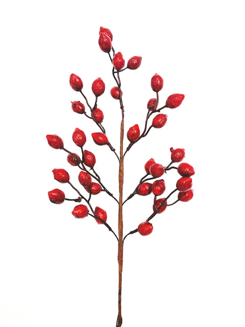 Galho Berry Vermelho