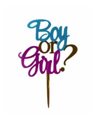 Topo De Bolo Boy Or Girl Pf135592 1un
