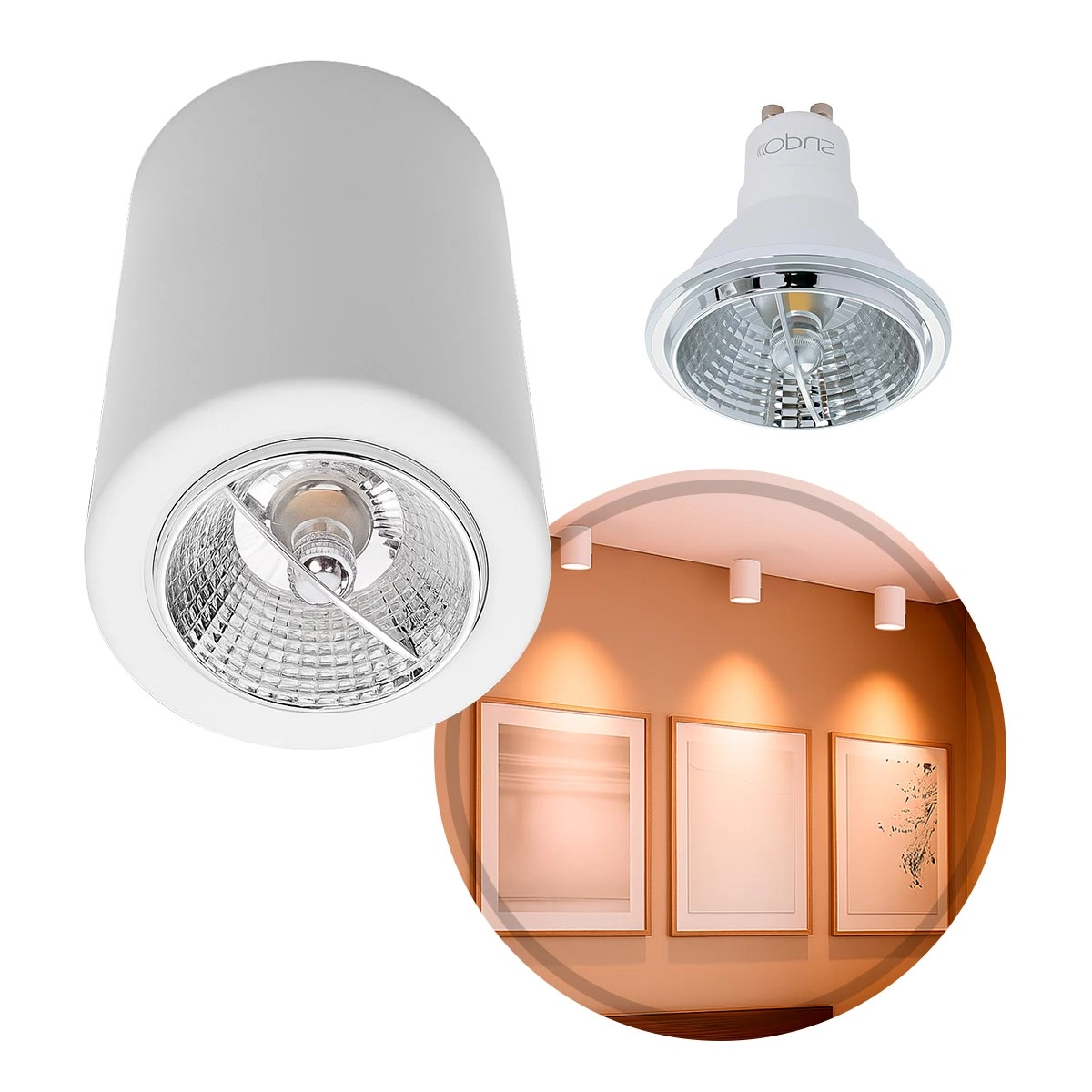 Plafon De Sobrepor Redondo Foco Fixo Branco + Led Ar70 Br. Quente St2951