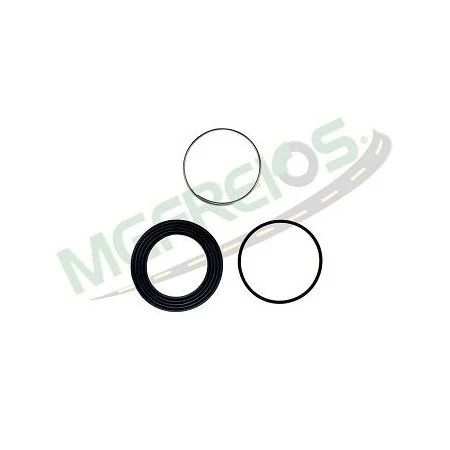 Kit Reparo de Vedação da Pinça IVECO DAILY Dianteira e Traseira - MG FREIOS MG4010