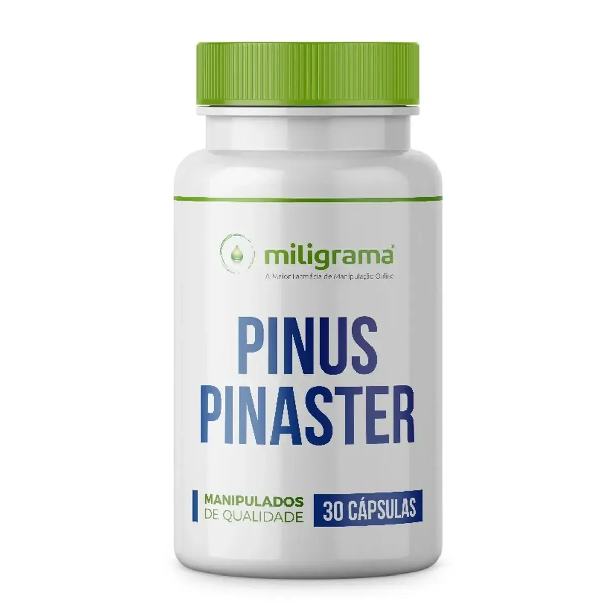 Pinus Pinaster 150mg 30 Cápsulas