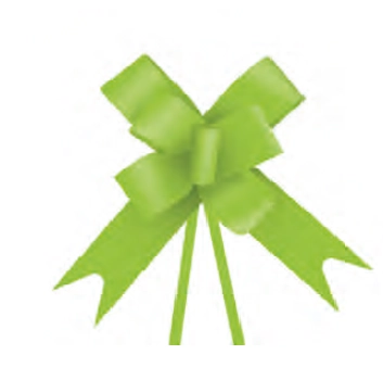 Laco Pronto Liso Verde Claro 23mm C/10 Cromus