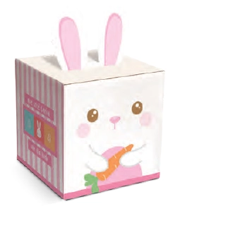 Caixa Pop Up Lina 9x9x11cm