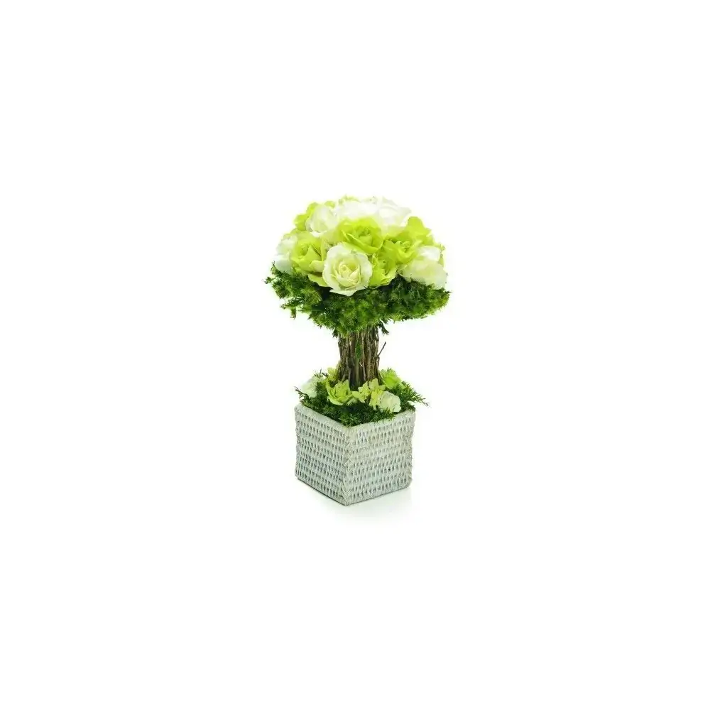 Bouquet Topiaria Cromus C/rosas Franc.40cm Br/vd