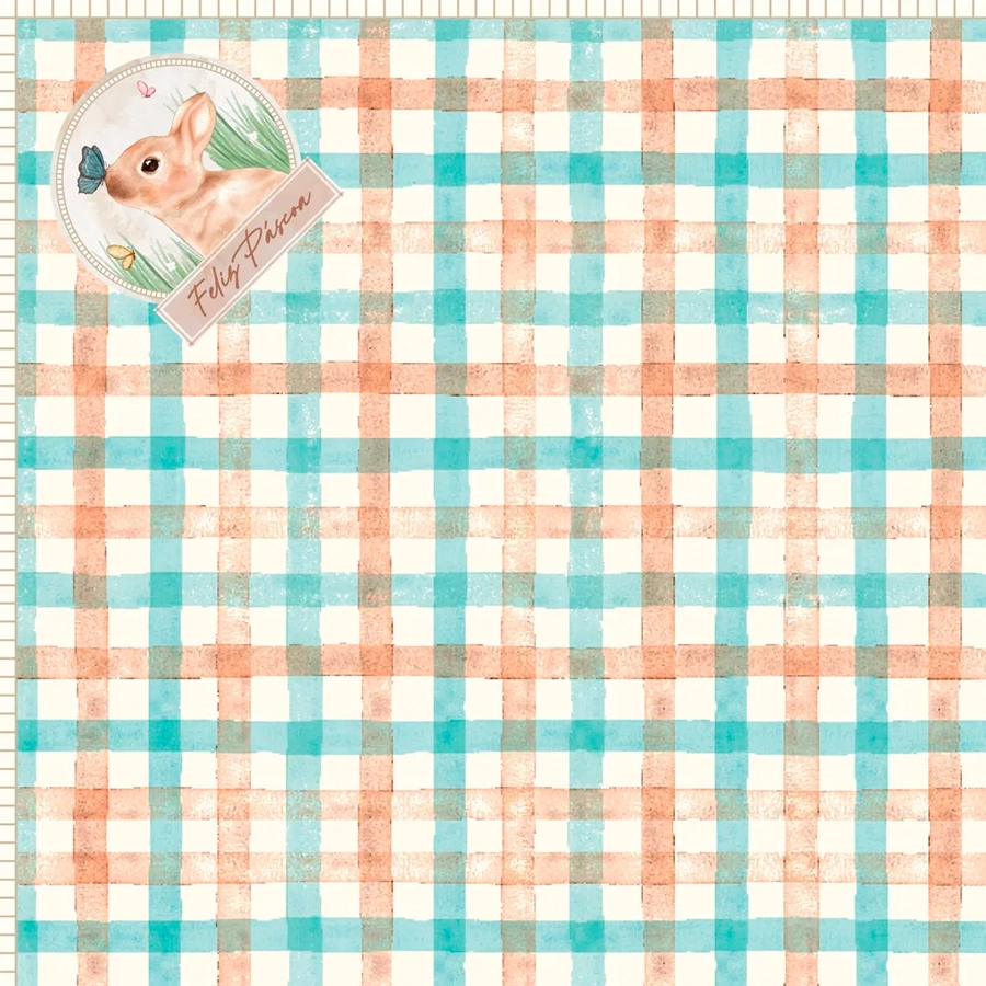 Saco Express 49x49cm Charles 25un 88500289 Cromus