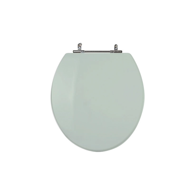 Assento Sanitário Universal Oval Aço Verde Água