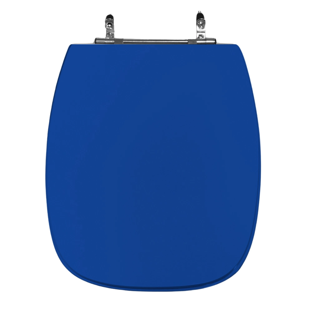 Assento Sanitário Poliéster Stylus Celite Aço Azul Mineral