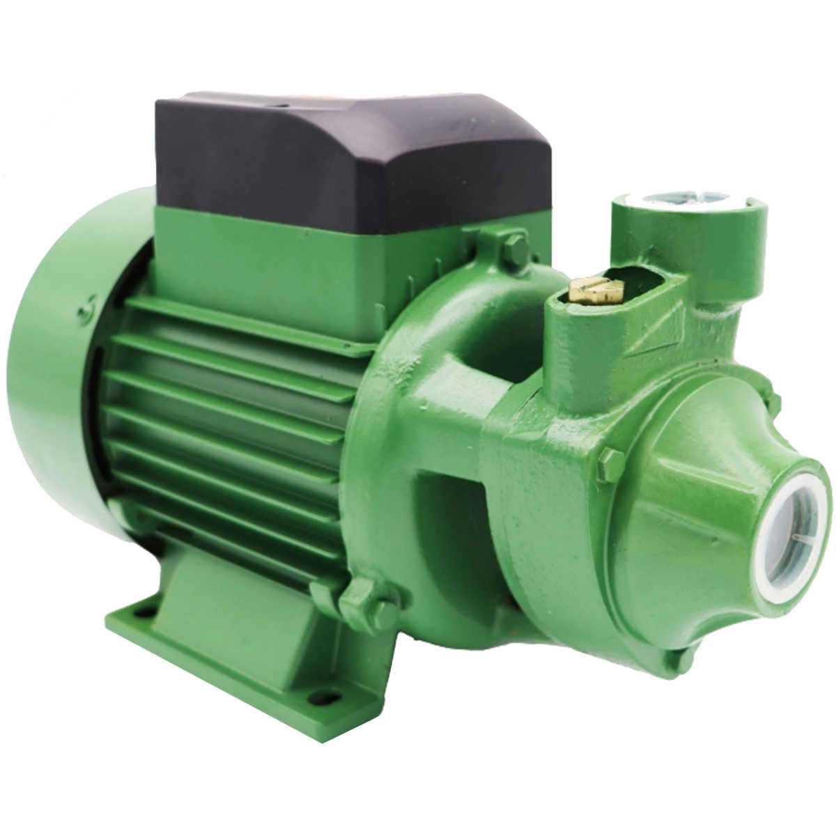 Bomba Periferica Schneider Pg-10 1cv 2 Polos Ip44 Monofasico 220v 60hz